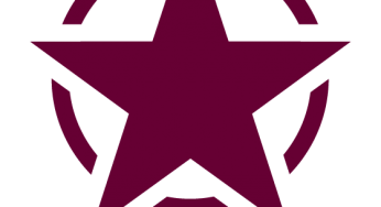 Difference between logo, trademark